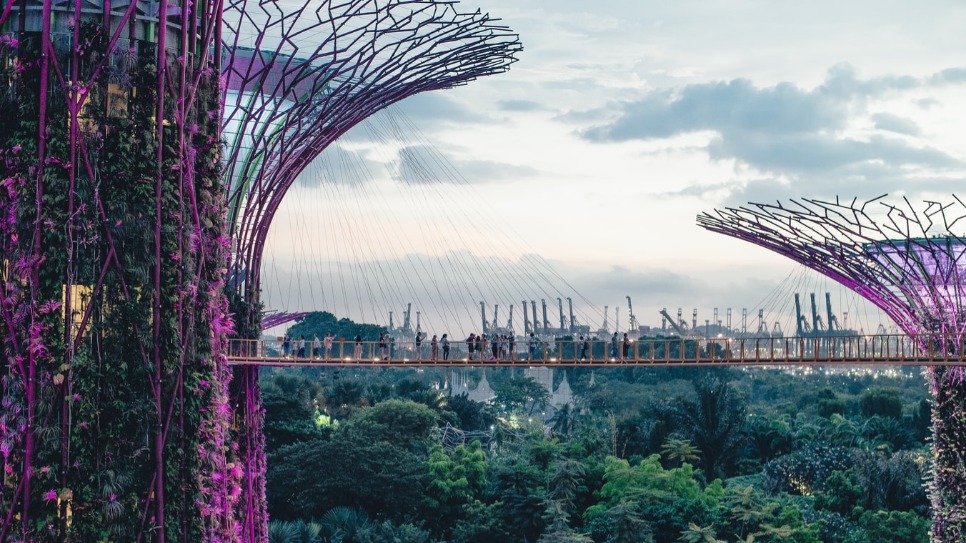 Lessons from Nature: What It Teaches Us About Innovation